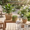 Lounsweer Scalloped Paper Rope Planter Basket Set of 3, Wicker