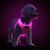 PcEoTllar Light Up Dog Harness, LED Dog Harness for Puppy