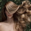 Phyto PHTPHTF36000675 densia mascarilla para cabello desvitalizado, 5.5 Fl Oz