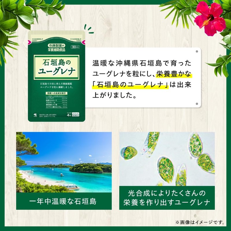 小林製薬の栄養補助食品 [ 公式 ] 石垣島のユーグレナ ミドリムシ サプリメント 【食事が偏りがちな中高年の方に】 [ 栄養補助食品
