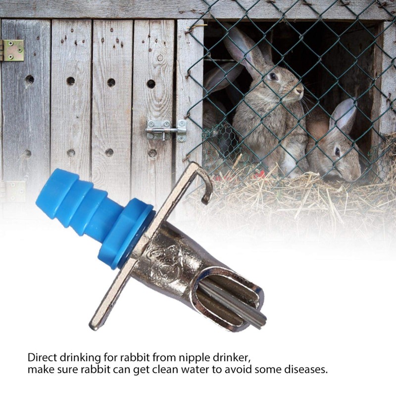 SALUTUYA 10PCS Removable Stainless Steel Rabbit Water Feeder Automatic Rabbit