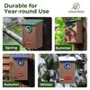 Kingsyard Recycled Plastic Bird House for Outdoors - Weatherproof Wren