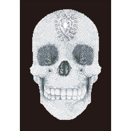 Diamond Dotz DD10.021 Kit Intermediate Crystal Skull None
