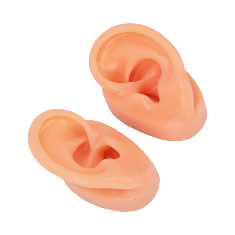 Silicone Ear Model Human Artificial Ear Display for Hearing Aids