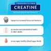 BODYTECH 100% Pure Creatine Monohydrate Powder - Micronized for Maximum
