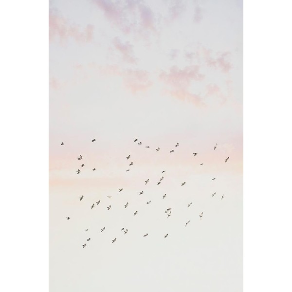 Pastel Sky flight Poster Print - and Seb Sisi (18