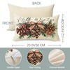 Fjfz Hello Winter Pine Cone Lumbar Decorative Throw Pillow Cover