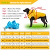 Puppy Raincoat, Waterproof Dog Raincoat for Small Dogs, Soft Lightweight