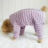 Kukaster Pet Dog Bodysuit After Op, Surgical Body Dog Castration