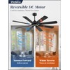 Fanbulous 62 Inch Ceiling Fans No Light with Remote, Modern