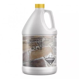 PaverGeneral Surface Efflorescence Remover 4248 - Remove Stains from Brick - 1 G