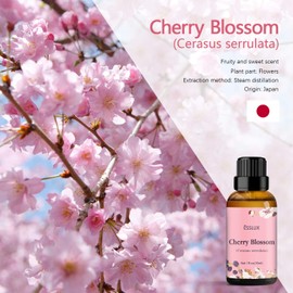 ESSLUX Cherry Blossom, Neroli Essential Oil, Maple Syrup Fragrance Oil for Diffuser, Candle Soap Making Clean Fresh Scents, Aromatherapy Scented Massage, Perfume for Humidifier Home Fragrance