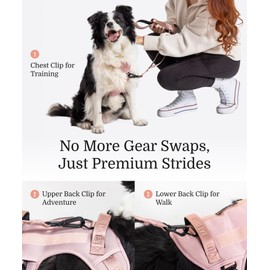 2025 New Edition, Fei & Eve Classic Dog Harness - Quick-Release Buckles | 3-Point No-Pull Control | Heavy-Duty 900D Nylon | Dual Safety Handles | Breathable Mesh | Adjustable Fit | Medium,Pink