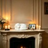 White Sleeping Dog Cremation Urn for Dog Ashes, Resin Pet