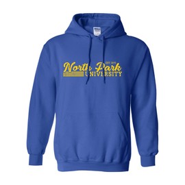 CreateMyTee Vintage North Park University Unisex Hooded Sweatshirt (Royal, Large) - North Park Viking Apparel