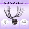 Cluster Lashes Kit Wispy 4 Styles, Individual Eyelashes Kit 3D-20D+30D+7D