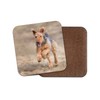 1 x Airedale Terrier Coaster - Dog Puppy Yorkshire Cute