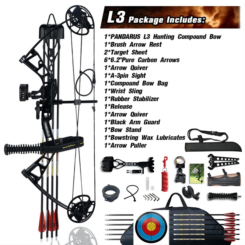 PANDARUS Compound Bow Set 10-40lbs for Pull Child Right Hand