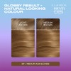 Clairol Nice'n Easy Tone+Gloss Semi Permanent Hair Dye - 811/73