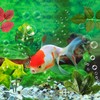 Cayway 14 PCS Fish Tank Decoration Betta Bed Leaf Betta