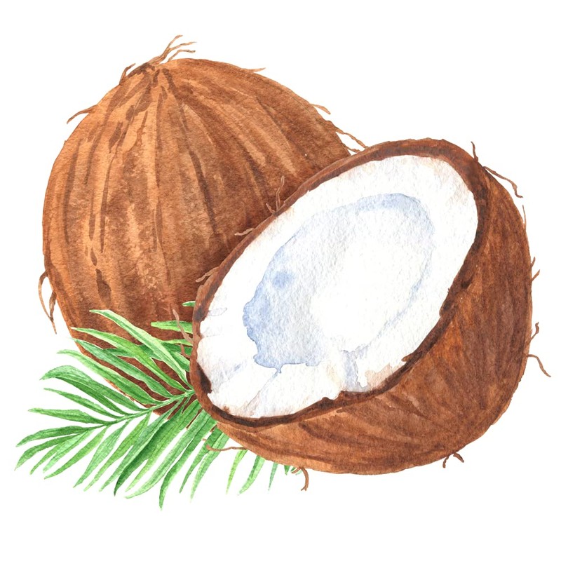 Flavour World High Strength Food Flavouring with pipette 15ml (Coconut)