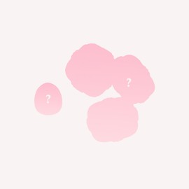 Flower Knows Blush Random Set,Value at $28-$44,Includes Powder,Cream,Liquid Blush (Blush*1+Mini Powder Puff*1)