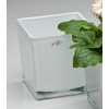 Sandra Rich 3 x Cube Glass Coloured Flower Pot Planter