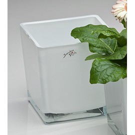 Sandra Rich 3 x Cube Glass Coloured Flower Pot Planter Flower Planter White 14 cm