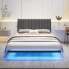 ARFARLY Floating Double Bed Frame with LED Lights and Charging