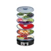 Salton Electric Food Dehydrator for Fruit and Jerky With Adjustable