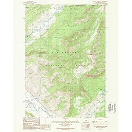 YellowMaps Mount Hornaday WY topo map, 1:24000 Scale, 7.5 X 7.5 Minute, Historical, 1989, Updated 1989, 26.8 x 21.3 in - Paper