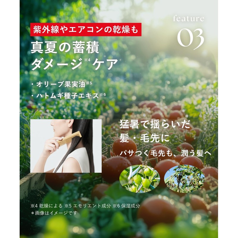 [2025 Summer Limited] Botanist Hair Mask, Daily Damage Repair, Fruit