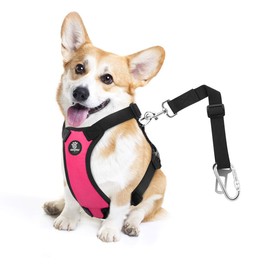 VavoPaw Dog Seat Belt, Safety Vest Dog Car Harness with Adjustable Buckle Dog Seat Belt for Vehicle Nylon Pet Safety Seat Belts Heavy Duty(M, Magenta)