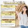 NICHIGA 05 Roasted Burdock Tea Produced in Kyushu, 2.4 oz