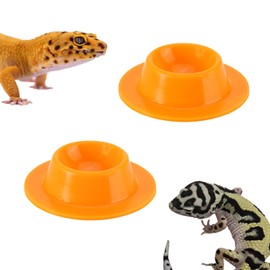 2 Pack Leopard Gecko Food Dish Gecko Calcium Dish Reptile Water Food Bowl Calcium Bowl for Bearded Dragon Lizard Turtle Gecko Jumping Spider