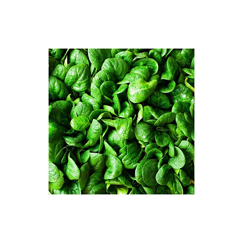Everwilde Farms - 1 Lb Bloomsdale Spinach Seeds - Gold