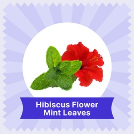 BLUE TEA - Hibiscus Mint Herbal Tea - 36 Tea Bags (Pack of 2) | SKIN GLOW ENHANCING TEA | Caffeine-Free | Hibiscus + Mint | Farm Packed Hibiscus Tea | Tin Packing