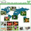 SAFLAX - Organic - Bean - Edamame - 8 Seeds