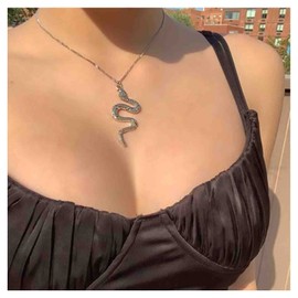Erimberate Gothic Snake Pendant Necklace Silver Snake Choker Necklace Punk Viper Serpent Necklace Chain Minimal Snake Reptile Necklace Jewelry for Women and Girls Gifts