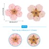 PATIKIL Dried Pressed Flower, 60 Pcs for Resin DIY Crafts