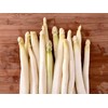 NIKA SEEDS - Seeds Vegetable Asparagus White - 30 Seeds