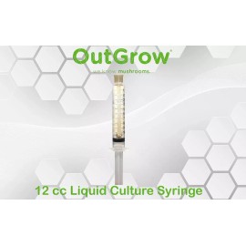 Out Grow The Prince (Agaricus augustus) Liquid Culture