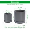 D'vine Dev 4.7 Inch & 6.5 Inch Ceramic Planter Pots