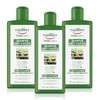 equilibra Hair Strengthening Anti-Hair Loss Shampoo Gently Cleanses Brittle Hair