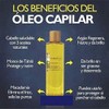 Terramar KOCHCHEMIE Duo maravilloso de Oleo Jumbo terramar y oleo