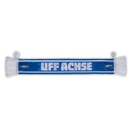 Hertha BSC Car Scarf Uff Axle with Suction Cups, blue