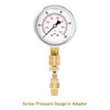 Roastove Brass Gauge Adaptor 1/4 NPT Female,2-1/2 OAL x 1-2/5"