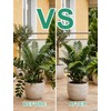 12 Pack Plant Support Stakes, 10" W x 16" H