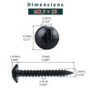 #6 x 1/4" Truss Head Wood Screws (100 pcs), 18-8