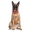 haoyueer Spiked Leather Dog Collar Bullet Rivets Studded 2 Inch
